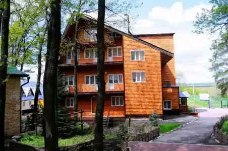 Голубой огонек - 80