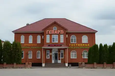 Гепард - 1