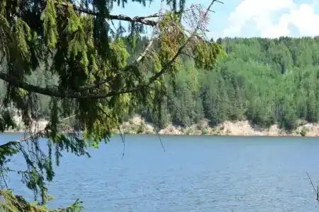 Раздолье - 6