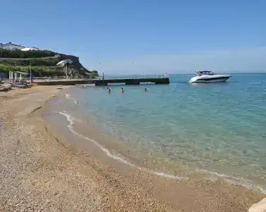 Вязовая роща - 37