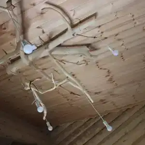 Челмужская усадьба - 5