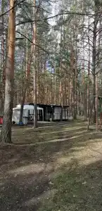 Домик в лесу - 81