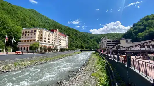 Голден Тюлип - 2