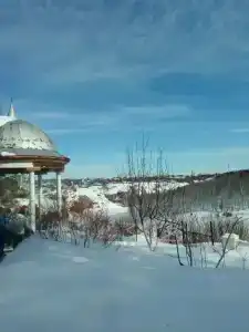 Сосновый бор - 23