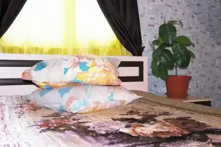 Гостевой дом на Муезерской - 55