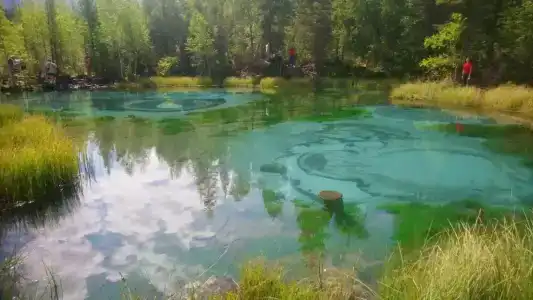 Зов гор Алтая - 2
