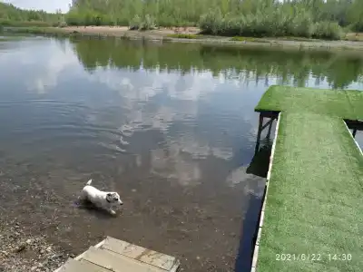 Теремок - 25