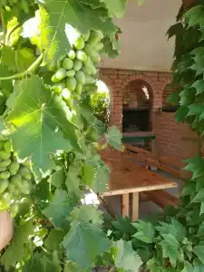 Скалистый Берег - 8
