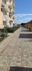 Орхидея - 6