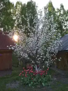Гостевой дом - 1
