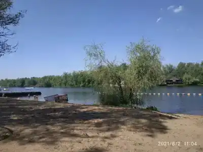 Бодрость - 53