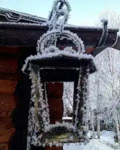 Золотой Полоз - 23