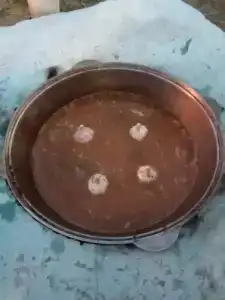 Левада - 4