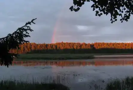 Оредеж - 60