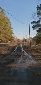 Домик в лесу - 42