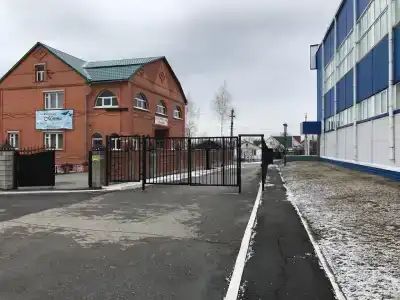 Мечта - 12