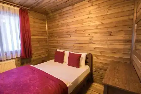 Uludag Orman Koskleri - 84