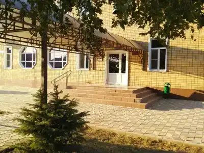 Белая лилия - 8