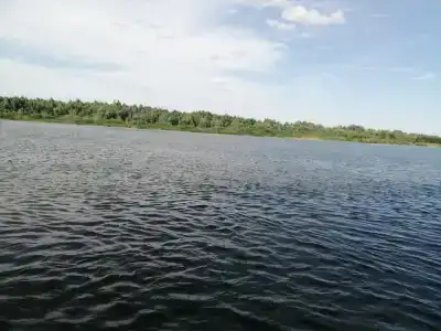 Донская весна - 28