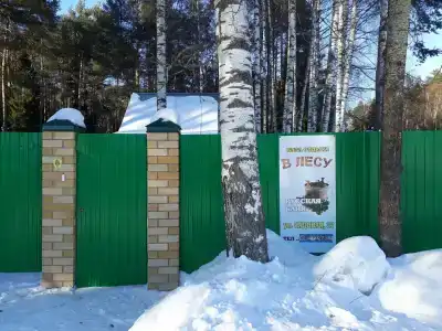 В лесу - 5