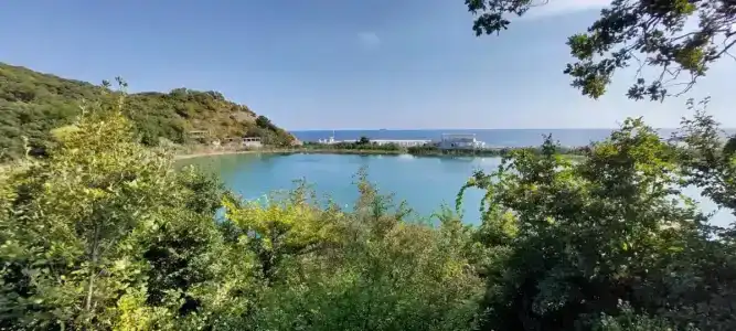 Лиманчик - 26