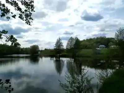 Бояринцево - 81