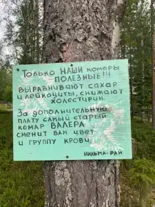 Нильма-рай - 21