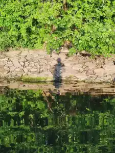 Банный Остров - 76