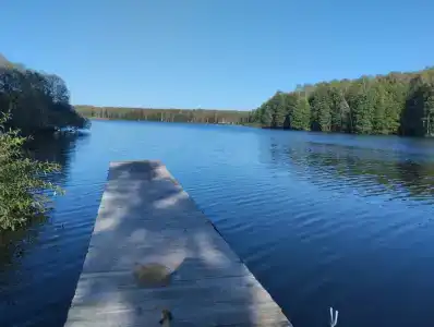 Веселый Роджер - 17