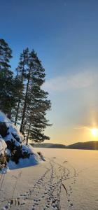 Jakoniemi village - 41