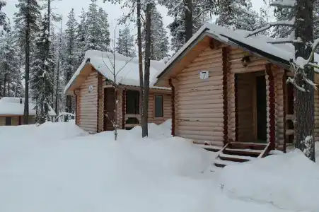 Фаворит - 21