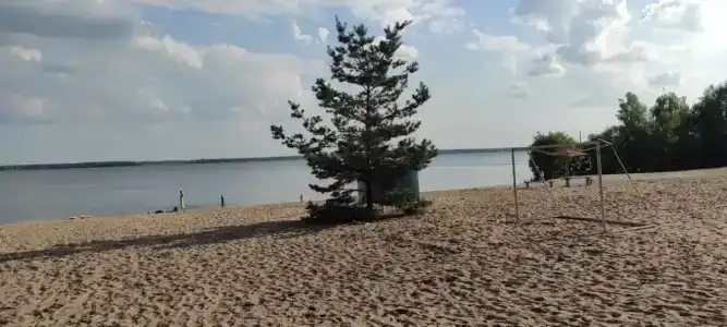 Сосновый бор - 16