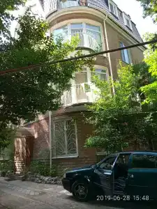 Сосна и Пальмы - 9