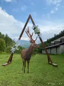 Солонечный - 15