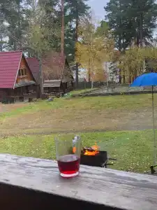 Дубрава - 8