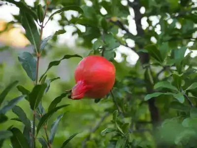Дом возле реки - 24