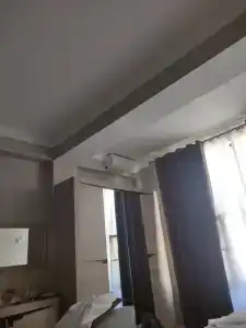 Пальмира - 81