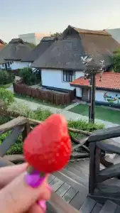 Диканька на Тамани - 18