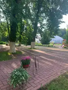 Пялово - 33