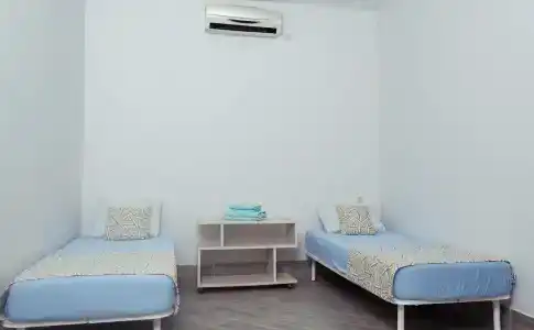 Арт - 11