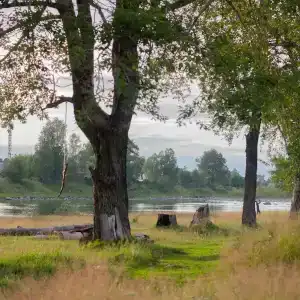 Baikal Stories - 6