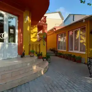 Кленовый лист - 21