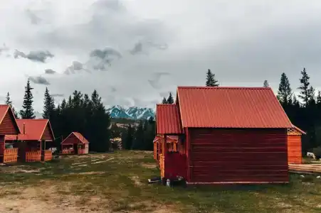 Ясная поляна - 15