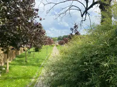 Николаевские Пруды - 73