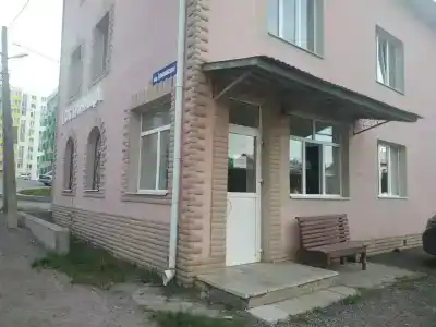 Альпийский - 10