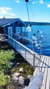 Зайкина дача - 87