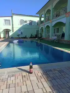 Золотой Фазан - 23