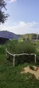 Старый хутор - 37