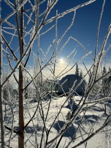 Глэмпинг DzenDome - 33