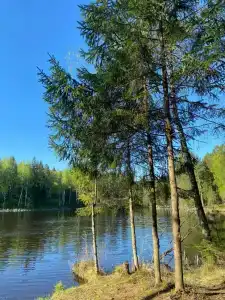 Железинка - 7